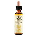 Schwabe Pharma Gentian Bach Orig