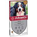 Bayer Spot On Per Cani Oltre 40 Kg Fino A 60 Kg