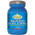 srl mass building fragola 1 8kg