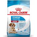 Royal Canin Medium Starter Mother Babydog Crocchette Per Cane 4 Kg