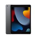 ipad 10. 2" 9 gen 2021 256gb wi-fi space grey europa