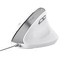 Trust Bayo Ii Mouse Ufficio Mano Destra Usb Tipo A Ottico 2400 Dpi