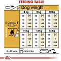 bulldog francese adult 3kg