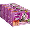 junior buste 48 x 85 g alimento umido per gatti selezione classica in salsa