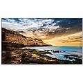 qe50t direct led blu display 50'' 3840x2160 pixel