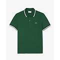 polo regular fit