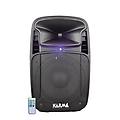 - diffusore amplificato 410w psk 15a-nera