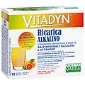 garda vitadyn ricarica alkalin14bust