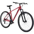 mountain bike da uomo alpe 1. 0 19.