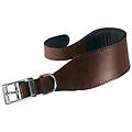 - collare vip cw25/46 per cani colore marrone