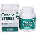 italia srl candro stress+ 60 compresse masticabili per cani adulti e anziani articolazioni sane