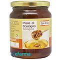 miele di castagno biologico 500 g
