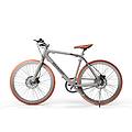 bici elettrica a pedalata assistita bk-rs08e-s-silver