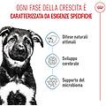maxi puppy alimento completo per cuccioli di taglia grande fino a 15 mesi di età 15kg