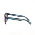 Oakley Frogskins Occhiale Sportivo Black