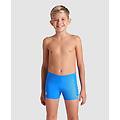 shorts - blue china-artic lime