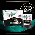 pro plan veterinary diets en gastrointestinal gatto multipack al salmone 10x85g