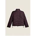 piumino donna trapuntato con collo alto e finitura lucida plum perfect donna medium