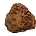 radice da masticare l 1 pz