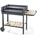 73500 barbecue doppia griglia 70-47