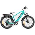 bici elettrica e26 all-terrain 250 w. batteria da 48 v e 16 ah
