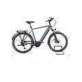 ebike ricondizionata · sinus 9 · buone condizioni