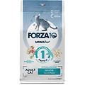 regular diet crocchette al pesce gatti adulti sacco 1 5kg