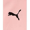 palermo home 24-25 m maglia calcio ufficiale uomo color mix xl
