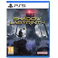 namco entertainment shadow labyrinth playstation 5
