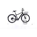 ebike ricondizionata · treadwell neo eq · come nuovo