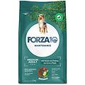 echo active alimento dietetico completo per cani 2kg
