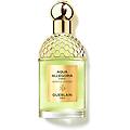 aqua allegoria forte nerolia vetiver eau de parfum 75ml