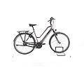 ebike ricondizionata · atom diamond · buone condizioni