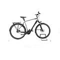 ebike ricondizionata · e-horizon elite belt · come nuovo