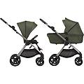 duo iq premium richi