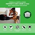 combo cani antiparassitario contro pulci zecche e pidocchi 10-20kg 3 pipette