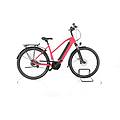 ebike ricondizionata · spirit · buone condizioni böttcher