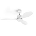 ventilatore da soffitto bhutan