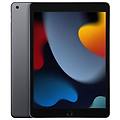 - ipad 9 (2021) 256gb wi-fi grigio siderale