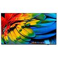 43hfl6214u display arrotolabile 109 2 cm (43") 4k ultra hd smart tv wi-fi antracite