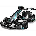 gokart pro 2