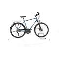 ebike ricondizionata · highline · come nuovo