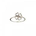 anello quadrifoglio donna oro bianco 803321734422