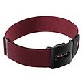 fascia cardio ant+ e bluetooth verity sense ohr dark red 920110148