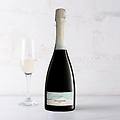spumante metodo charmat brut tagliamare 75 cl