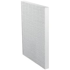 Electrolux 900167651 Ef113 Filtro Hepa Per Filtro Dell'aria