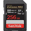Sandisk Pro 256gb V60 Uhs Ii Sd Cards