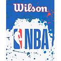 team mini hoop nba mini canestro color mix