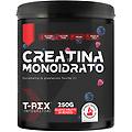 t rex creatina monoidrato integratore gusto frutti di bosco 250g