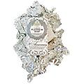 nesti dante sapone lusso 70° anniversario / platino